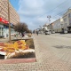На благоустройство и озеленение Курска потратят 42 млн рублей