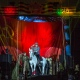 «Салют Победы!» – яркий цирковой спектакль в память о подвиге народа