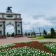 В Курске в парке «Патриот» на проспекте Победы будут показывать кино