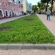 25 мая в Курске начнут высаживать цветы на городских клумбах