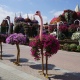 В Курске на улице Ленина установят 11 двухметровых страусов с цветами