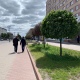 В Курске на улице Ленина обустроят 8 клумб без цветов
