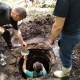В Курской области восстанавливают старинный колодец князей Мещерских