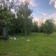 На улице Перекальского Курска засохли деревья в «Саду новорожденных»