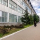В Курске на улице Радищева спилили ели