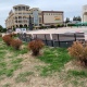 В Курске с Театральной площади уберут засохшие туи
