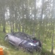 Под Курском машина врезалась в дерево, ранены водитель, женщина и 3-летний ребенок