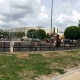 В Курске на Театральной площади выкопали засохшие туи
