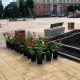 В Курске на Театральной площади начали высаживать розы на клумбы