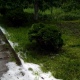 В Фатеже Курской области 9 июня град посёк растения и превратил огороды в болото