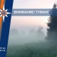 В Курской области ожидаются туман, дожди и грозы