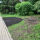 В Курске с улицы Ленина убрали топиарного ежа