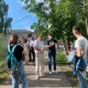 В Курске экологи и общественники обсуждают снос 7 деревьев на улице Садовой