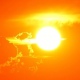 Курскую область накроет аномальная жара до +34 градусов