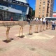 В Курске на улице Ленина начали устанавливать 11 двухметровых страусов с цветами