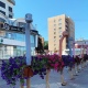 На улице Ленина Курска завершили установку 11 двухметровых страусов