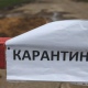 В деревне Ворошнево Курской области введен карантин по бешенству
