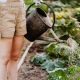 Жители частного сектора Курска жалуются на отключения холодной воды