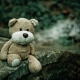 В Курской области будут повышены выплаты для детей-сирот