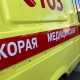 3 человека после укусов клещей были госпитализированы в Курской области