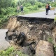В Курской области стихия смыла дорогу и повалила деревья