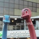 Страусам на улице Ленина в Курске закрасили глаза красной краской