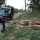 Под Курском ураган сносил деревья