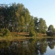 В Курской области следствие выясняет причины гибели двух мужчин на пруду