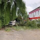 В Курске поваленные ураганом деревья до сих пор блокируют дороги