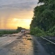 В Курской области ураган вновь повалил деревья