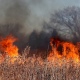 В Курской области за сутки произошло 22 пожара