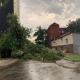 В Курске ураган 2 августа сломал 369 деревьев и повредил 15 автомобилей