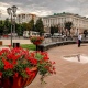 В Курске на Театральной площади установили вазоны с петуниями