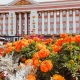 В Курской области 17 организаций получат 14 млн рублей грантов на развитие гражданского общества