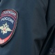 Полицейские из Курской области поймали серийного вора