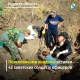 Поисковиками Курской области найдены останки 42 советских солдат и офицеров
