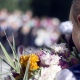 В Курской области линейки 1 сентября пройдут только для первоклассников и выпускников