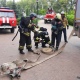 В Курске пожарные тушили кондитерскую фабрику