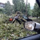 Вечером 19 августа в Курской области ожидается шквалистый ветер с градом