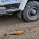 В лесу под Курском на опушке нашли мину