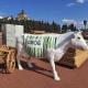 В Курске для фермерского фестиваля «Своё» установили корову со штрих-кодом