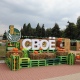 28 и 29 августа в Курске пройдет фермерский фестиваль «Своё»