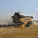 В Курской области завершили уборку зерновых