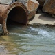 Под Курском сахарный завод оштрафован за гибель рыбы в двух реках