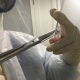 В Курской области за сутки выявили 163 новых случая коронавируса