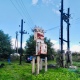 Под Курском двое мужчин погибли от поражения током
