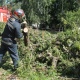 За упавшее на автомобиль дерево житель Курска отсудил 217 тысяч рублей