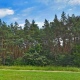 Жительницы Курска сообщили об извращенце в лесу на Волокно