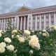 На выходных в Курской области потеплеет до +15