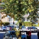 В Курске возле суда машина врезалась в дерево